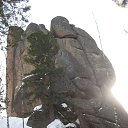  , , 50  -  4  2015   2015