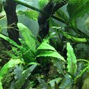 ���������� �� ������� �������