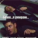���� �������, �����, 39 ��� - ��������� 6 ������ 2015 � ������ ���� ����������