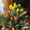 ���� �����, �����-���������, 50 ��� - ��������� 18 ����� 2015 � ������ ���� ����������