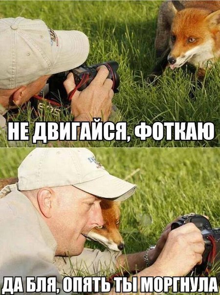        ! <a href=