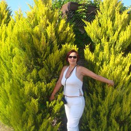 ���� ��������, �������, 64 ���� - ��������� 6 ������� 2015