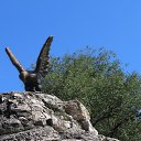 ���� ������, ���������, 47 ��� - ��������� 8 ������� 2015 � ������ ���� ����������