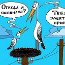  ,  -  18  2015   