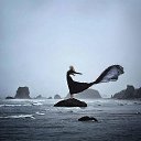 ��� ����� �������, ���� ����, � ������ �����! �� ������� ���� ����������