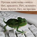���� ������, ����� - ��������� 12 ������ 2015 � ������ ������� � �������������