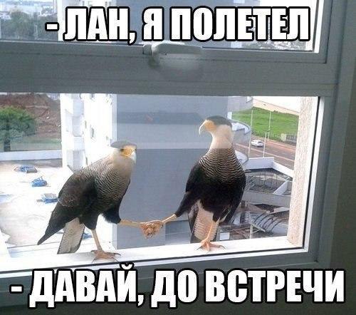  ,  : <a href=