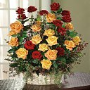 ���� ���������., ������ ��������, 62 ���� - ��������� 23 ������� 2014 � ������ ������.�