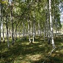 ���� ���������, ����, 46 ��� - ��������� 18 ������� 2014 � ������ ��������