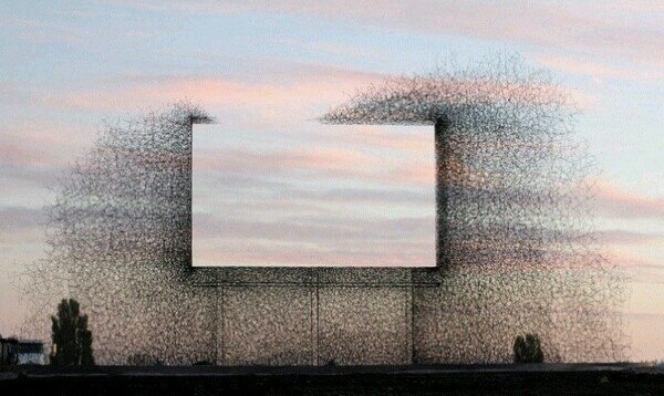  :   ,  ,      .  .  9