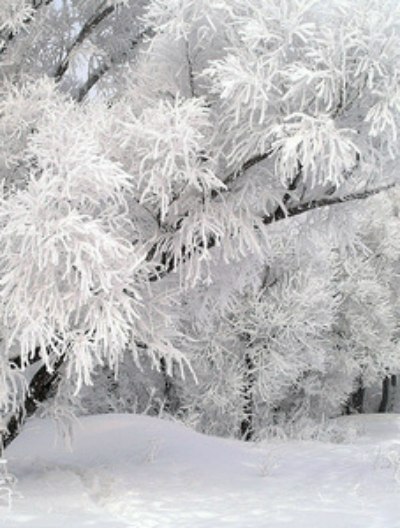   - 5