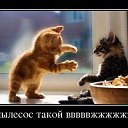 ���� ������, ����� - ��������� 18 ������ 2015 � ������ ������ ��������