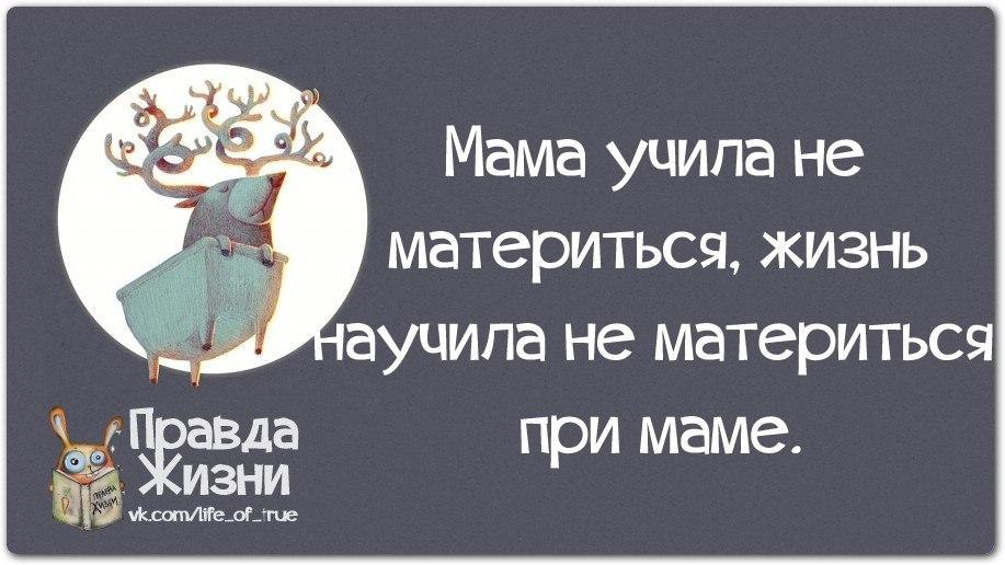 Никогда не матерюсь. Жизнь научила не материться при маме. Матерюсь при маме. Картинка мама учила не материться жизнь научила меня. Мама учила не материться жизнь научила не материться только при маме.