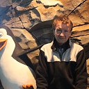 ���� �����, �������, 77 ��� - ��������� 14 ������� 2015 � ������ ���� ����������