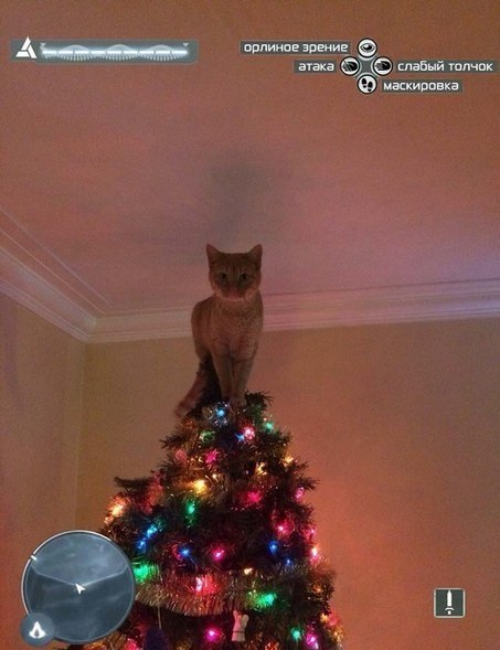 Синхронизация завершена