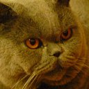 ���� �����, ����������, 55 ��� - ��������� 11 ������ 2015 � ������ ������ ��������