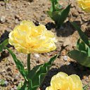  , , 60  -  13  2015      11.04.15.