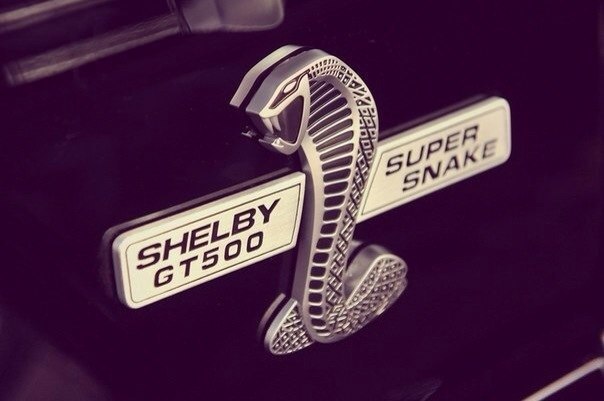 Ford Shelby GT500 Super Snake - 5