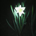 ���� ������, �������, 43 ���� - ��������� 10 ������ 2015 � ������ ���� ��������!!!!!�