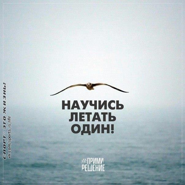    ! - 31  2015  10:40