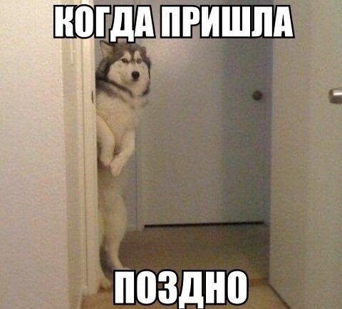    - 20  2015  00:15