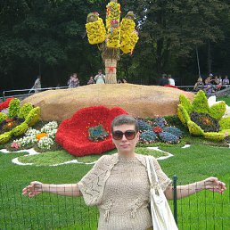 ���� �����, ���� - ��������� 31 ����� 2015