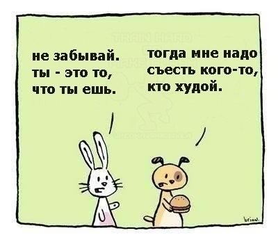 SportFeed - 13  2015  16:10