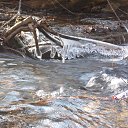 ���� �������, ����������� - ��������� 18 ����� 2015 � ������ ���� ����������