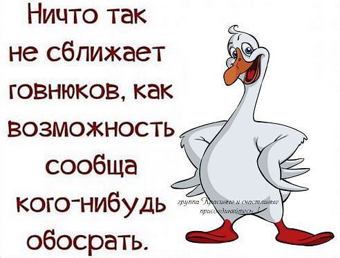 ,     - 19  2015  19:37