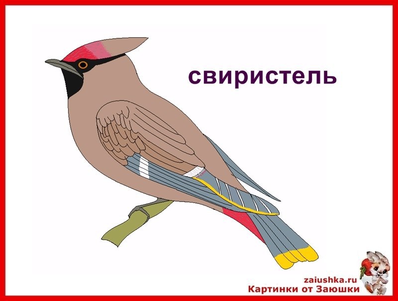  -  .     -  - , , , ... - 4