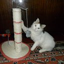 ���� �������;), ���� - ��������� 27 ������� 2015