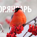 ���� &copy;���� ������&copy;, ����� - ��������� 25 ������ 2015 � ������ �������