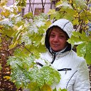 ���� �����, �����-���������, 58 ��� - ��������� 12 ����� 2015 � ������ ������ ��������