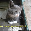 ���� ����, ������, 45 ��� - ��������� 21 ������ 2015 � ������ ���� ����������