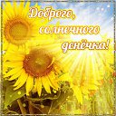 ���� ��������, ������, 60 ��� - ��������� 22 ������ 2015 � ������ �������� ��������