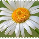 ���� �����, ������ - ��������� 16 ������� 2014