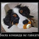 ���� �������, �����-��������� - ��������� 3 ������ 2015 � ������ ���� ����������