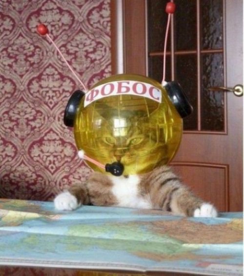 Так Хозяин я принял своё решение я полечу на луну!!! Ты ведь не против?