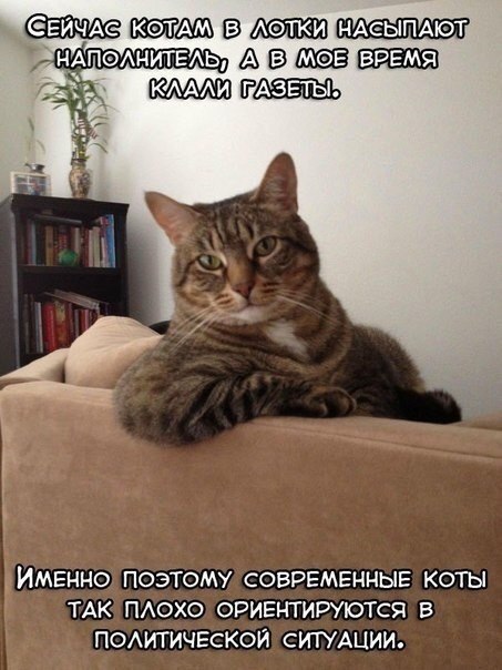 ������� ����� ����� :-) - 3 ������� 2015 � 08:40