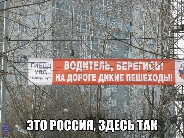    :D - 19  2015  18:21