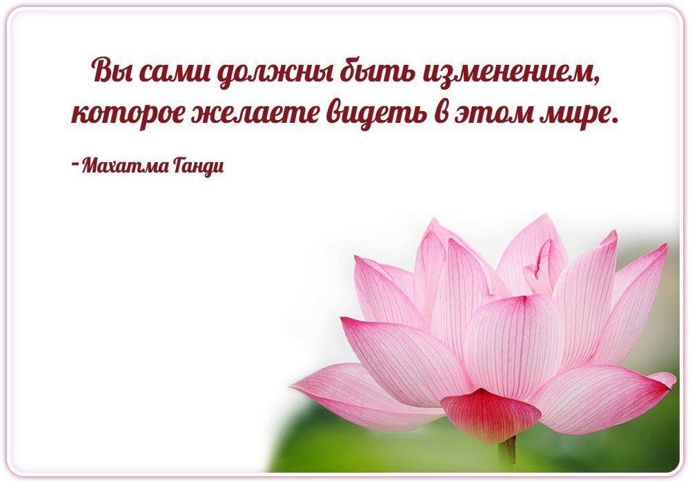  | Yoga - 1  2015  17:18