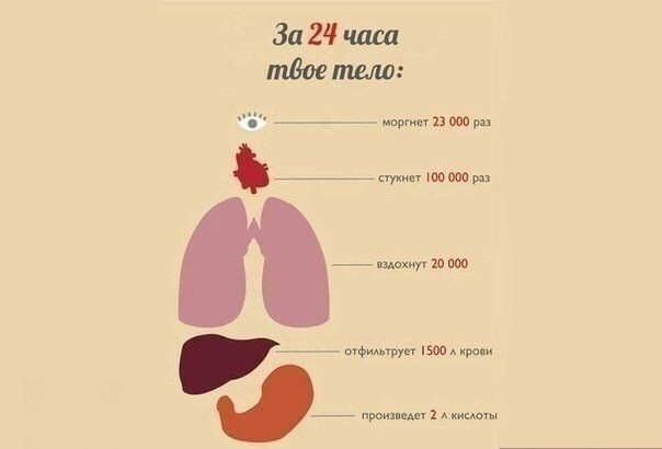 А вы знали?