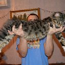 ���� ��������, ���������, 59 ��� - ��������� 20 ����� 2015 � ������ ���� ����������