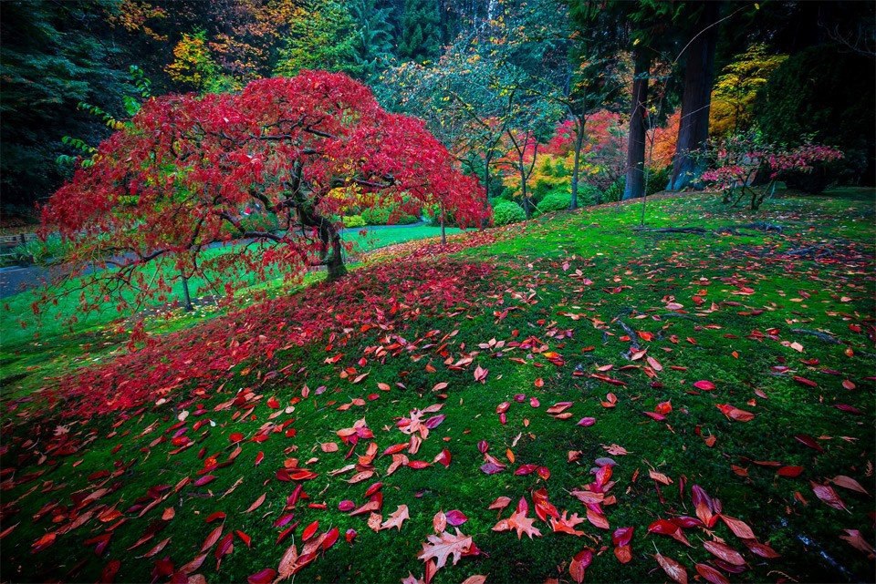    , , .#@travel.blog