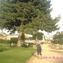 ���� �������, �����-���������, 73 ���� - ��������� 28 ������� 2015 � ������ ���� ����������