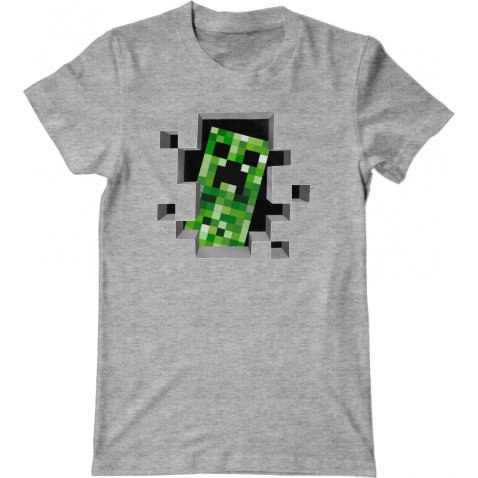   Minecraft Creeper.    !     ...