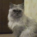 ���� �����, �����������, 58 ��� - ��������� 14 ������� 2014 � ������ ���� ����������