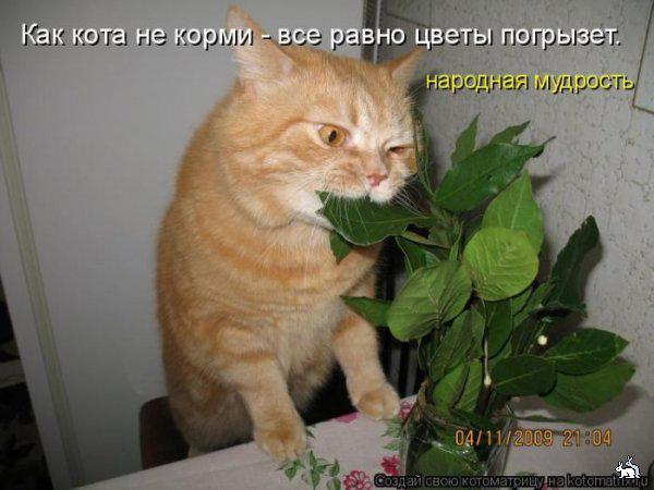     .     vk.com/fotomimi ...