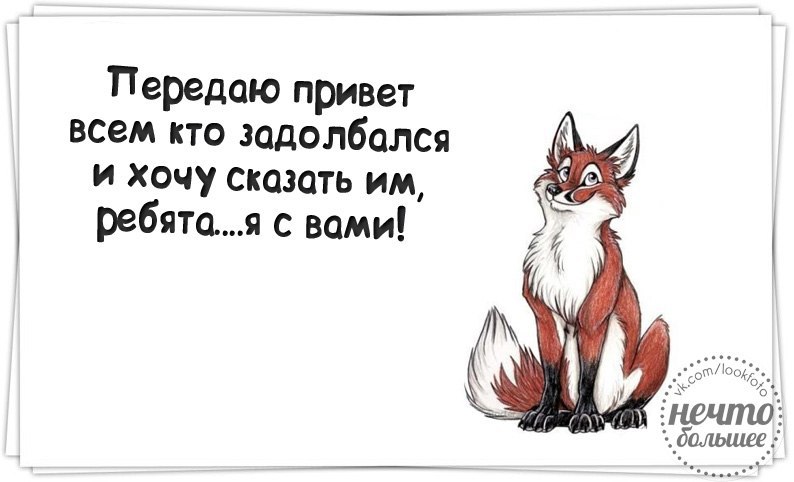 Я уже не с вами. Картинка задолбался. Я задолбалась картинки. Задолбался на работе картинки. Задолбалась картинки смешные.