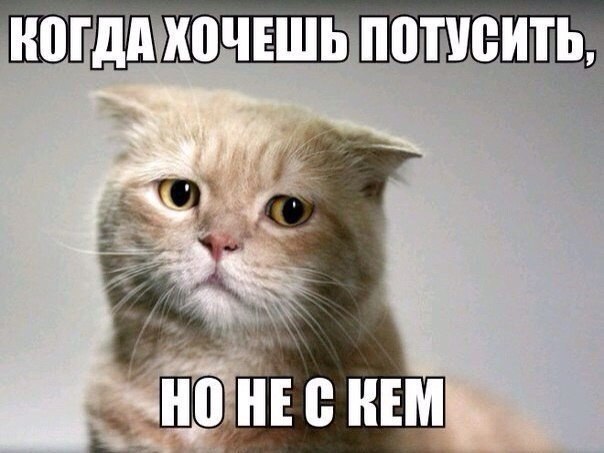    :-) - 11  2015  18:40